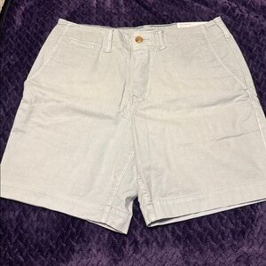 Men’s NWT American Eagle Outfitters Light Gray Flex Shorts - size 30